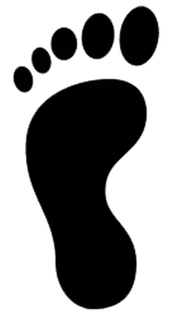 Kenneth R. Meisler, D.P.M., FACFAS, P.L.L.C. & Associates